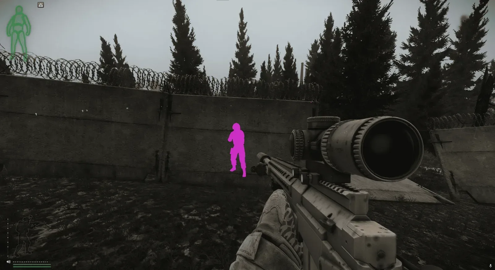 EFT: Chams — 3