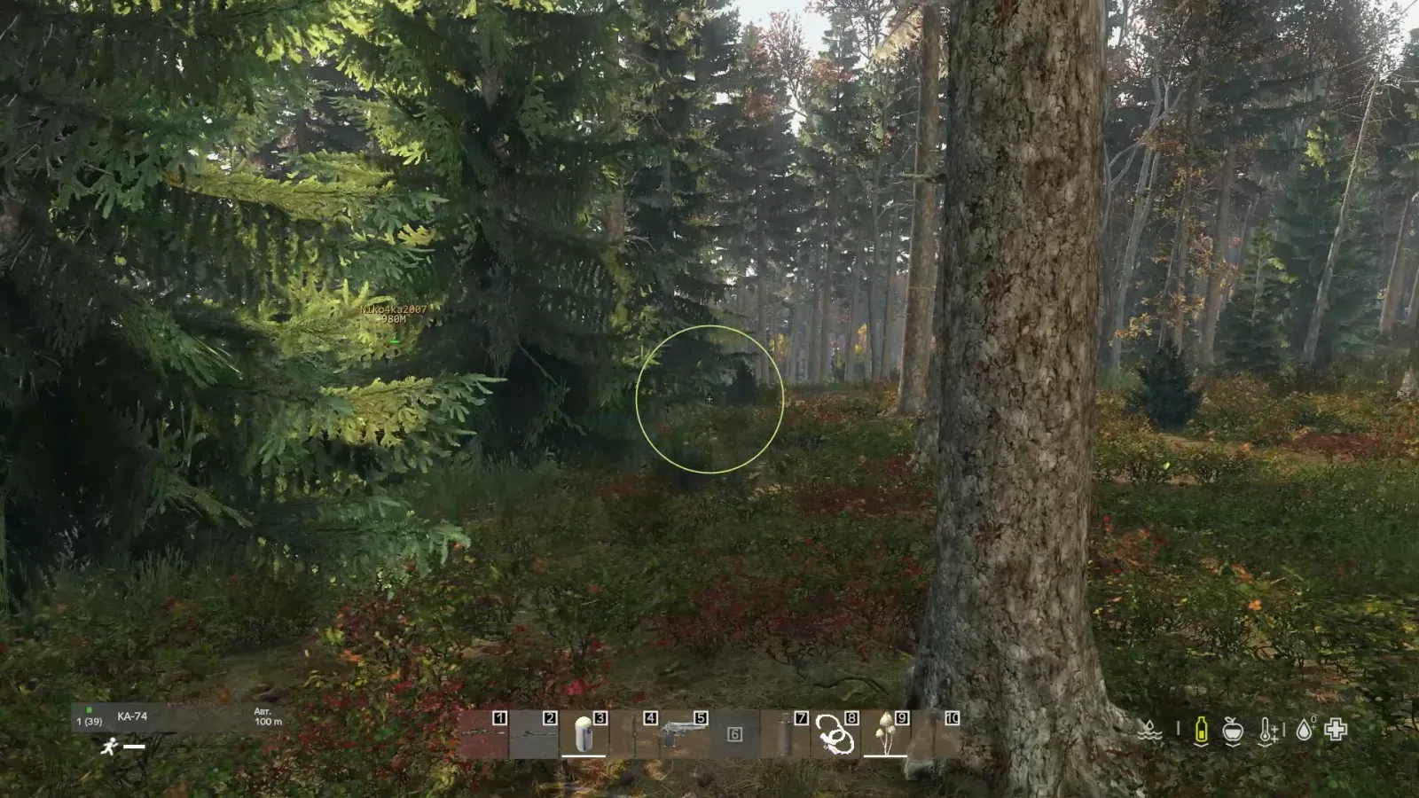 Dayz: AuthorityLite — 7