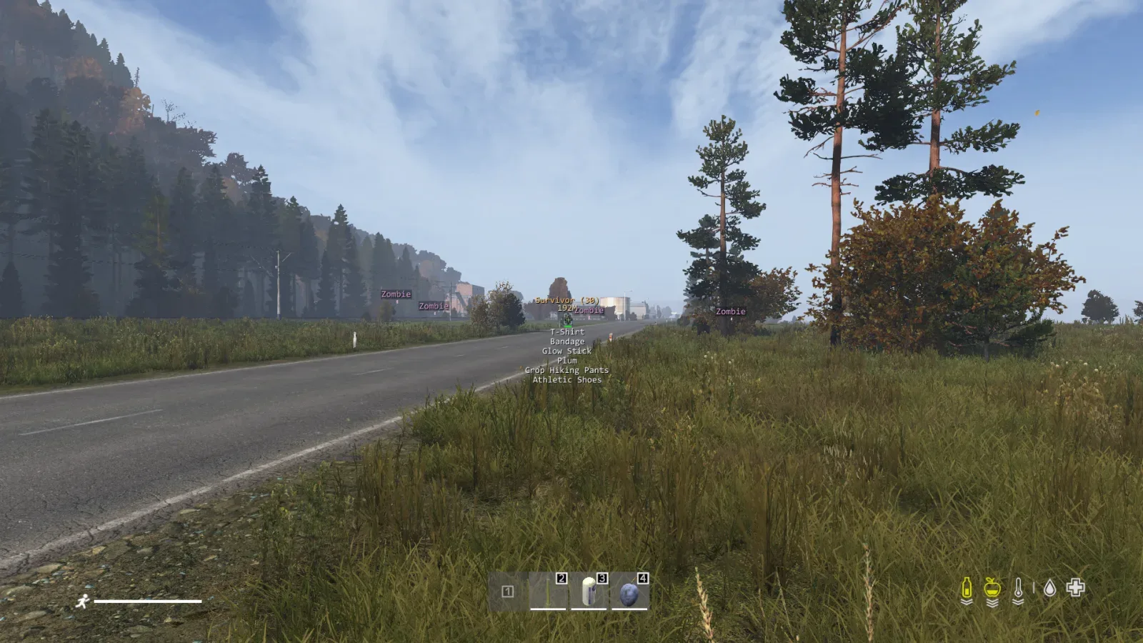 Dayz: AuthorityLite — 4