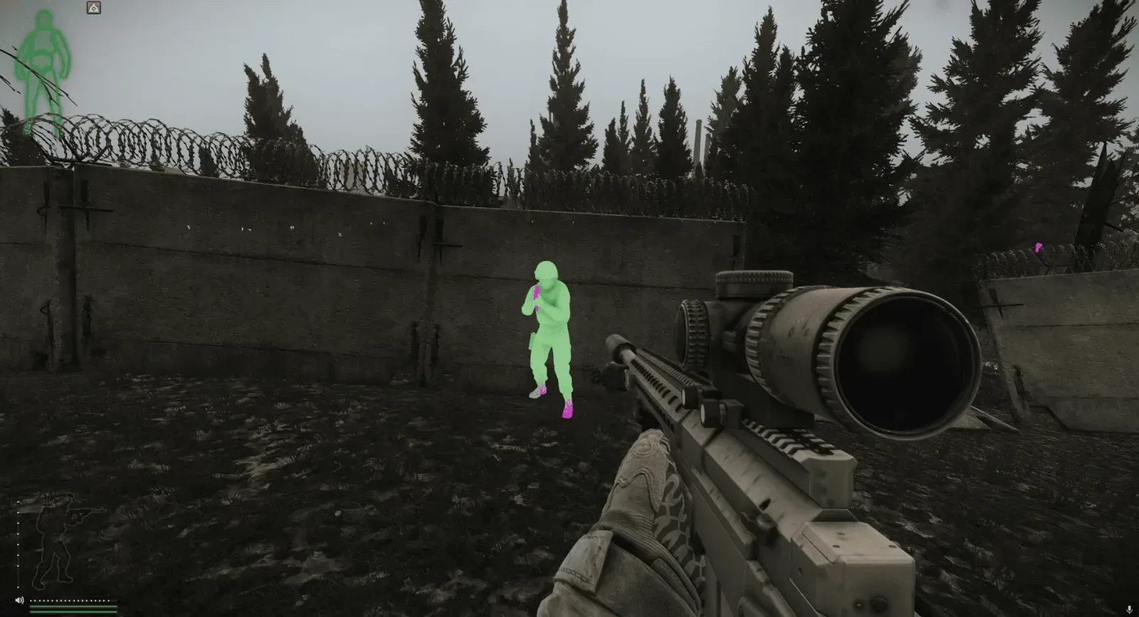 EFT: Chams — 2