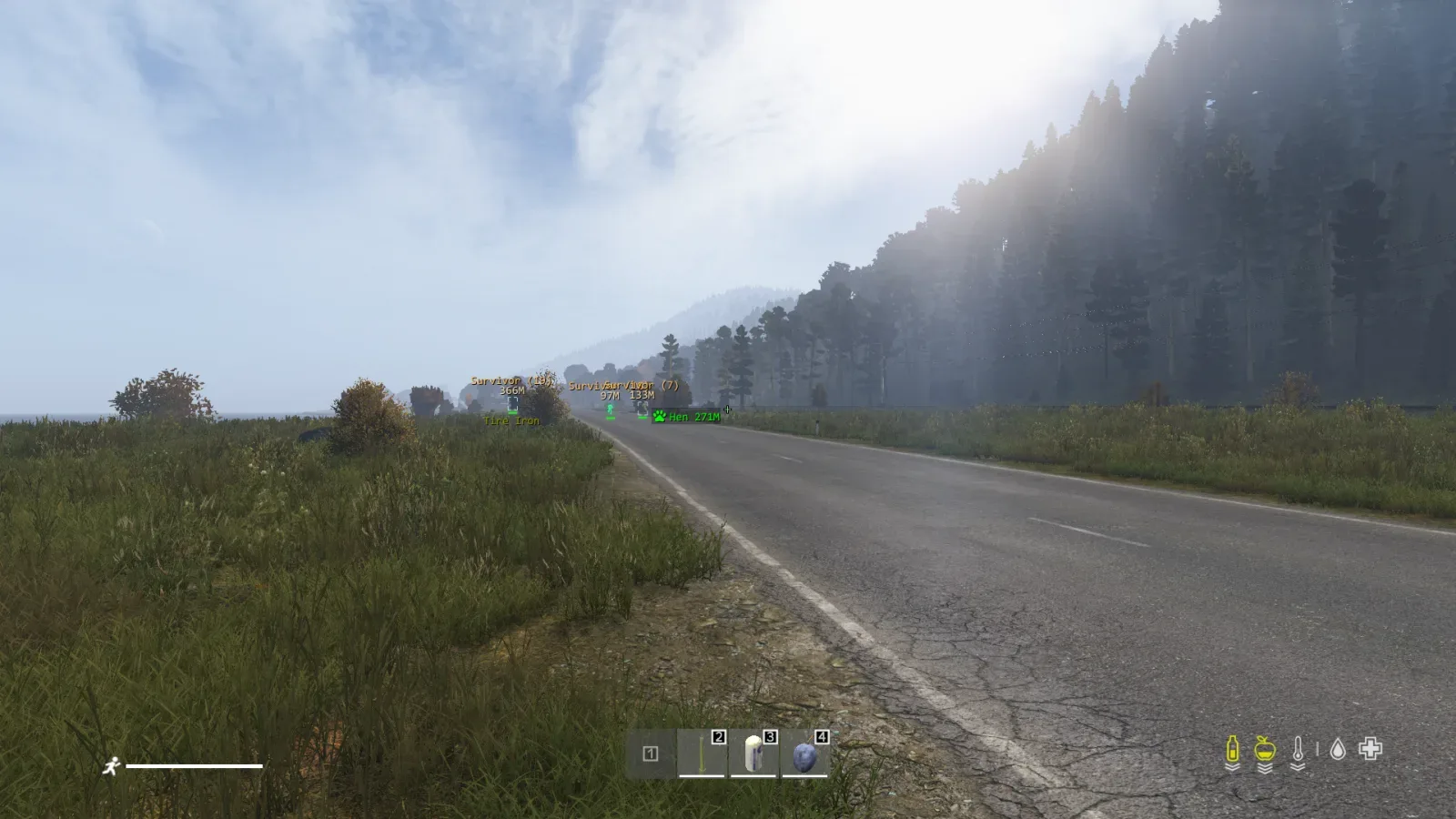 Dayz: AuthorityLite — 5